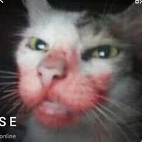 kittylunna Nude