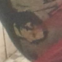 Lolitajoestar Nude